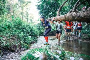 BIB: 
                            <button type="button" onclick="openModal(25445658)" class="btn btn-primary btn-sm float-right btn-popup" data-toggle="modal" data-target=".modal-high-quality">
                        <i class="fas fa-shopping-cart"></i> Add to Cart
                    </button>
                                            <button type="button" onclick="isThisMe(25445658, true)" class="btn btn-success btn-sm float-right btn-popup btn-isme hidden" data-toggle="tooltip" data-placement="bottom" title="นี่คือรูปของคุณใช่ไหม คลิกที่นี่เพื่อเอาเข้าอัลบั้ม">
                        <i class="fas fa-plus"></i> Add to album
                    </button>
                    <button type="button" onclick="isThisMe(25445658, false)" class="btn btn-warning btn-sm float-right btn-popup btn-isnotme hidden">
                        <i class="fas fa-ban"></i> Remove from album
                    </button>